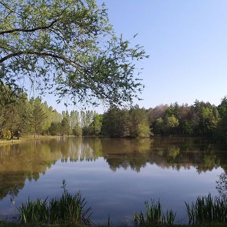 Отель Le Chalet Des Pins Rougeou Экстерьер фото