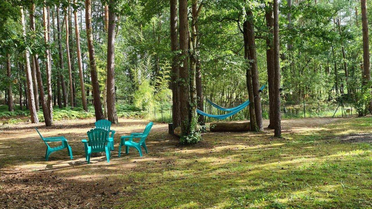 Отель Le Chalet Des Pins Rougeou Экстерьер фото