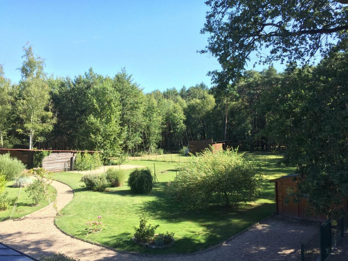 Отель Le Chalet Des Pins Rougeou Экстерьер фото